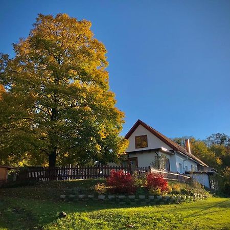 Ferienhaus Koller Гюссинг Экстерьер фото