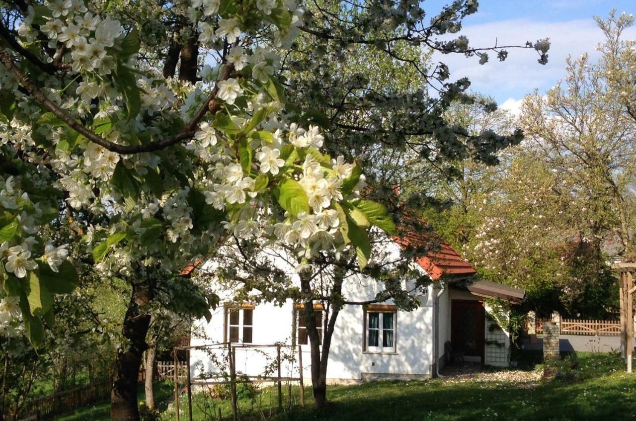 Ferienhaus Koller Гюссинг Экстерьер фото